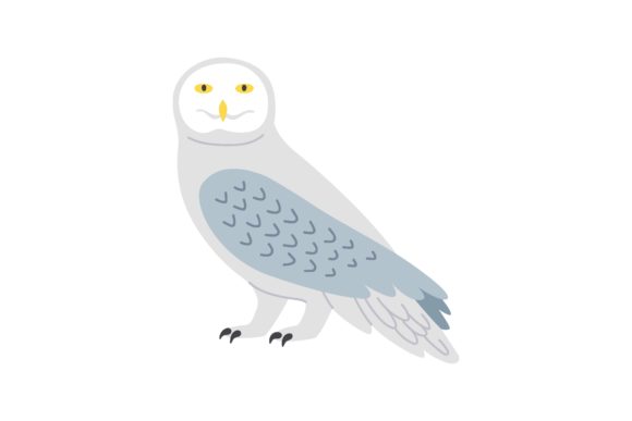 Download White Owl Cartoon Illustration. Predator - White owl Collection